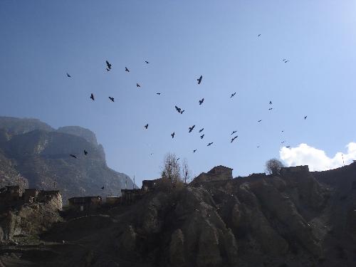 Photo of Mustang - Photo of Mustang valley Nepal