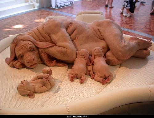 What is that ??? - Half Human Half animal ... strange creature !!!