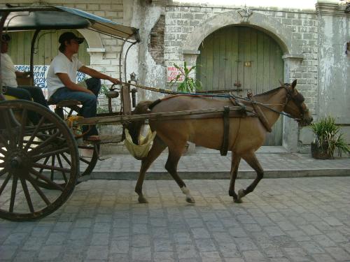 vigan's kalesa - cool kalesa in vigan
