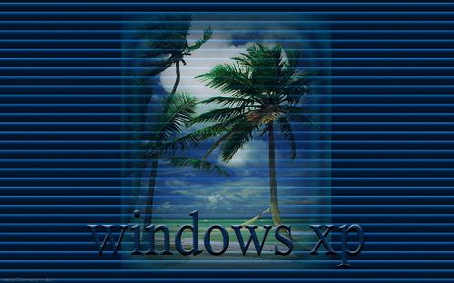 xp1 - wallpaper xp