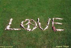 Local women sending a message of Love - Some local Eugene women posed for this picture sending a message.  This is Eugene that i know and love.