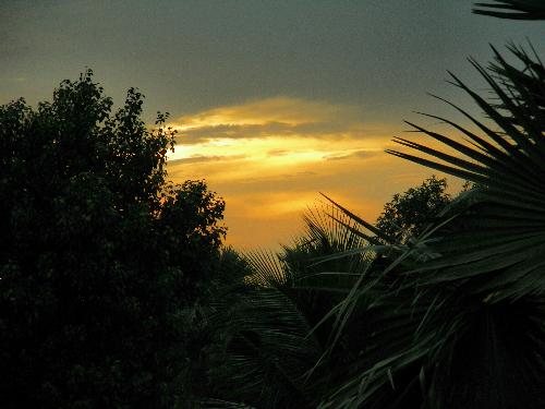 Sun sets near my little cottage. - Enjoy the Sun set after some rain. The sun sets over the palm tree which I have planted it at my age of ten.