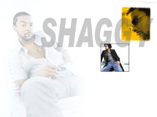 shaggy - it wasnt me was a really nce video and a must watch choreagraphuy!!!