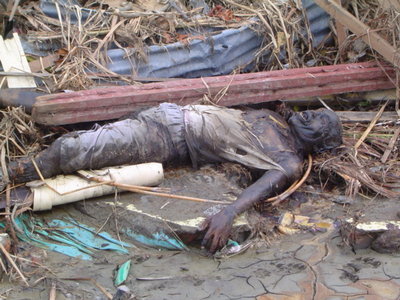 Tsunami victim - one of the victim