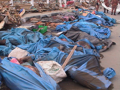 More victims - bodies found during search effort