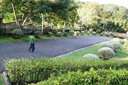 leaving - green surroundings