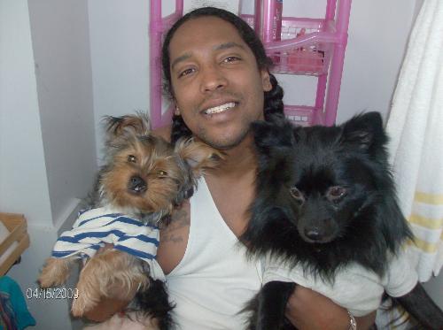 my boys - from left to right: dunkin, my yorkie, alejandro, my man, and lastly but not least, machi, my pomeranian. i couldnt imagine my life without any one of them. they are my babies.