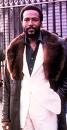 marvin gaye - American Soul Singer