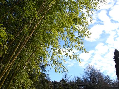 summer is here - nice little green :))