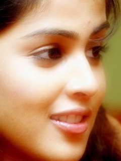 indian actress - genelia d'souza-jpeg file