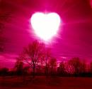 Love - Love is fantastic
