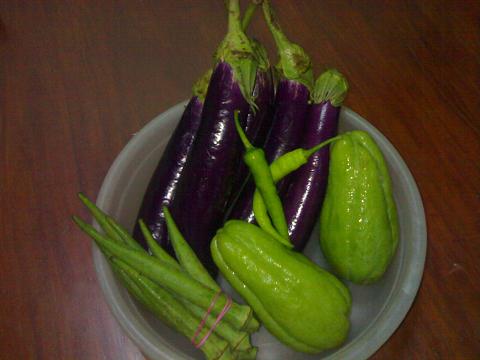 vegetable - this vegetables are okra, eggplants and sayote.