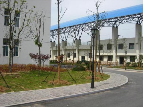 school - memory-middle school