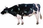 milk MONEY out of your MYLOT cow - start milking MONEY out of your MYLOT cow