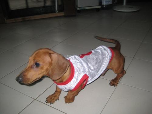 baby Chowder - Chowder