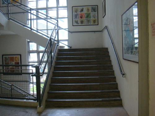 school - memory-middle school
