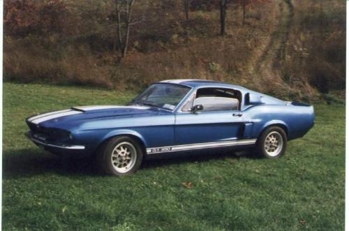 shelby muscule car - muscule car