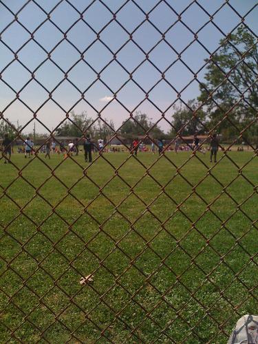 fence-chain link,ballgame - picture of kickball game through fence