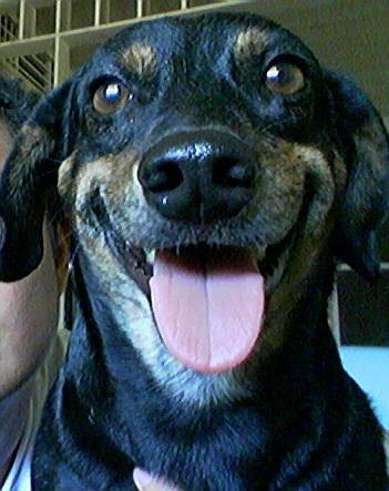 Moochie - greatest smile.