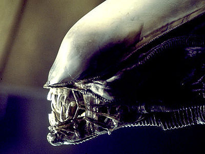 xenomorph - from the movie alien