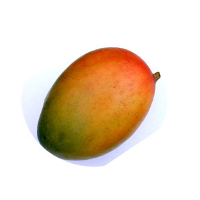 I love mangoes!! - My favourite fruit is mango.