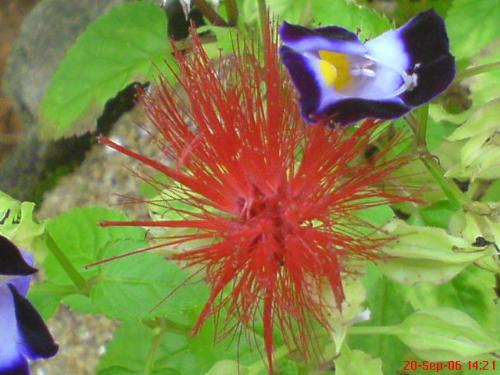 I love nature - My art in photography............