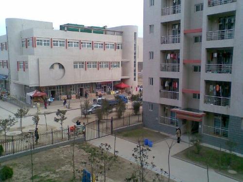 school - memory-middle school