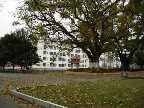 school - memory-middle school