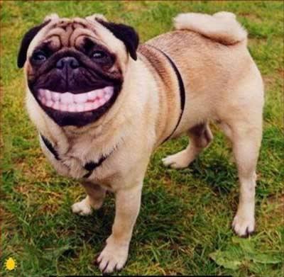 Be happy - Keep happy every day and enjoy your life!