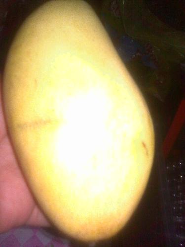 The ripe Mango - Mango, our national fruit