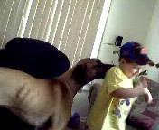great dane and my son - here is another pic of our new great dane and my son while in play running around our living room... she is a natural aggravator just like him!!!