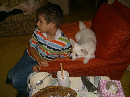 is he not looking - coco trying to sneak grandson Lee's milk. she loves milk