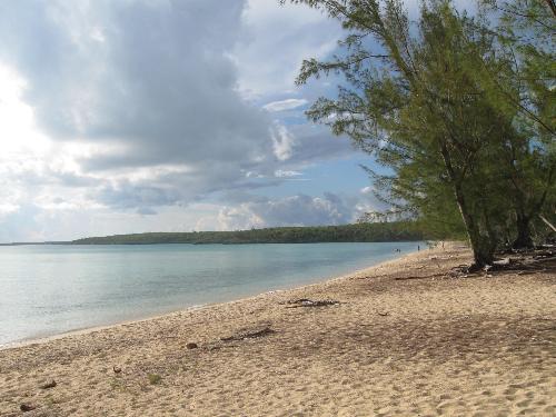 Beach - Just a cool picture of a beach in the Bahamas.