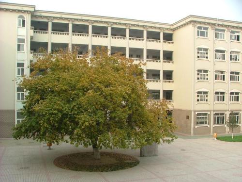 school - school-my world,my dream