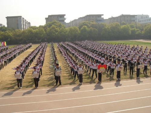 school - school-my world,my dream