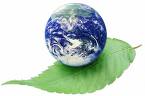 Green world - we can save our earth