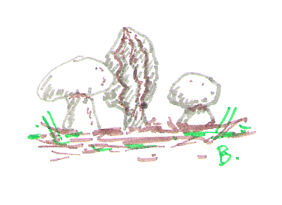 Mushrooms - Just for you.