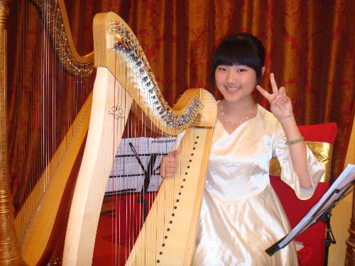 beautiful harp -  last years in a small show