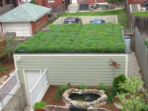 a green roof - against global warming =D