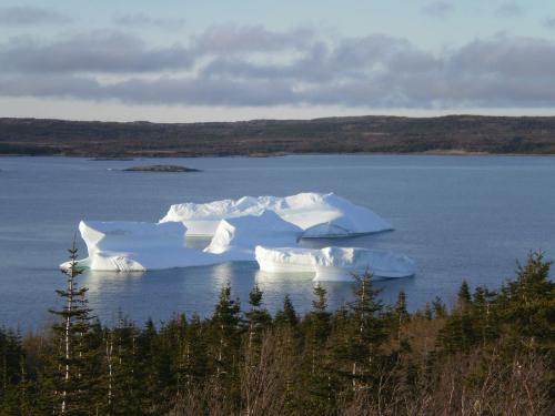Icebergs 2  - Different view
