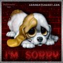 Sorry - I am extremely sorry for that