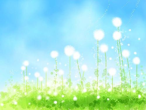 Dandelion - The picture' colors are mild,so you will feel warm when you see the picture.The dandelions are blooming in the ground under the blue sky.