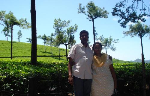 Munnar Tea Plantation - This is the beautiful view at Munnar, a tourist spot at Kerala India. A place to visit!