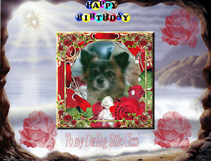 Gissi - Happy Birthday my sweet Boy 