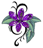 Small flower - An image of a small flower
