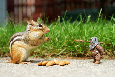 fight like the small animal - Though I don't know the small animal's name,I still love it very much.It is a brave creature,and even dare to shoot the animal which is much bigger than itself.