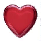 Heart - Heart