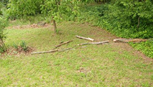 Another tree down - TOO MUCH RAIN! This came down in our last storm. Another storm is predicted for later today... a bad one! Sigh! I guess I'll just have to get used to living in the mountains, huh? LOL