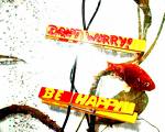 Don't worry be happy  - Don't worry be happy song, note for note.