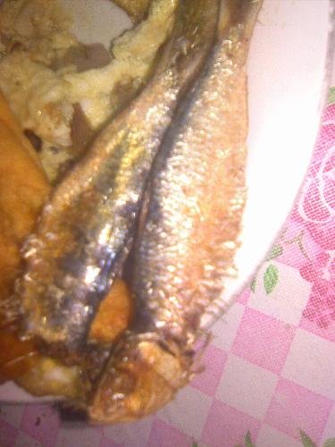 Dried fish called tuyo - Dried fish is my breakfast